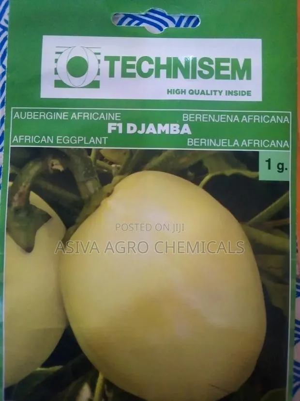 Garden Eggs Seeds · Photo 1