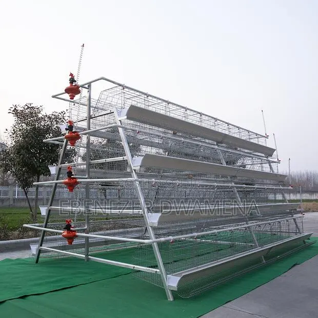 Agriculture · Photo 1