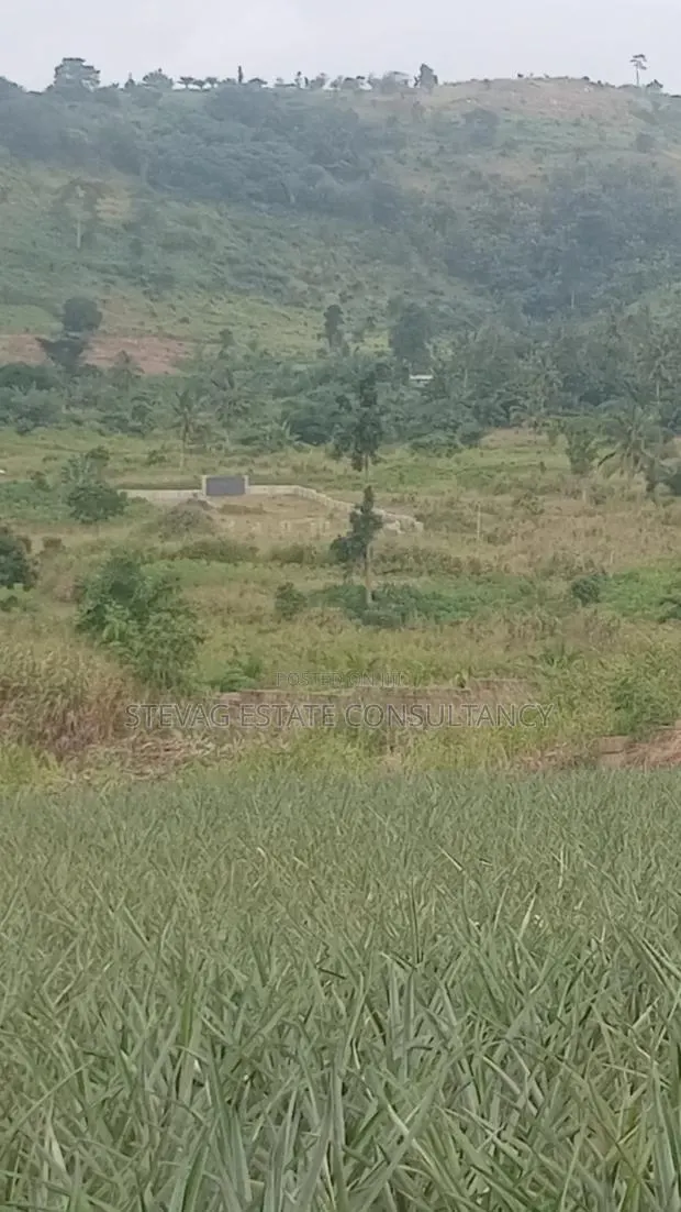 Alpha Properties Estate Land for Sale at Amasaman ASHIFLA · Photo 1