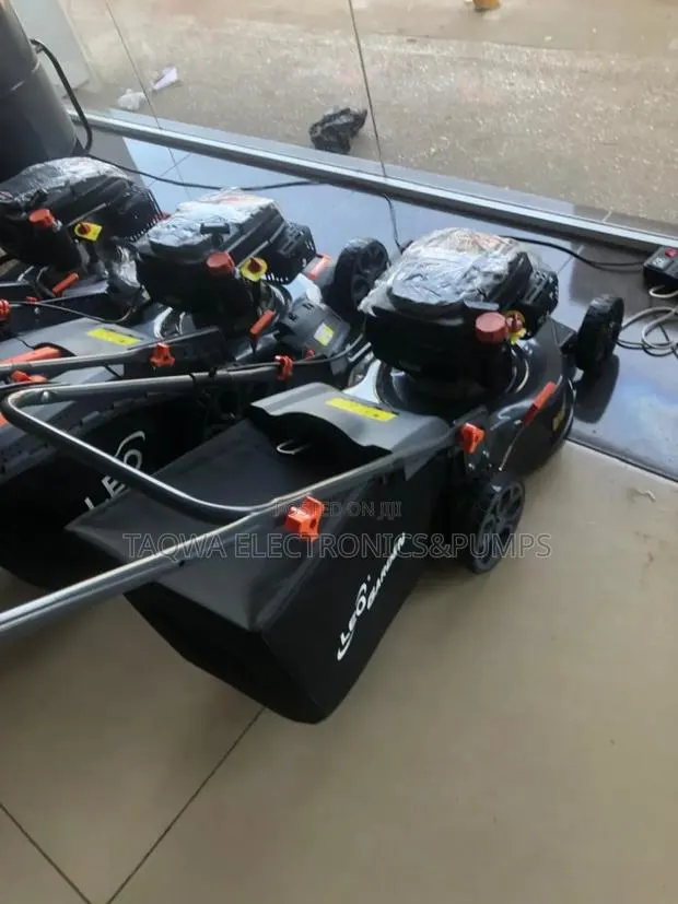 Authentic Leo Mower LM46-L 4HP · Photo 1