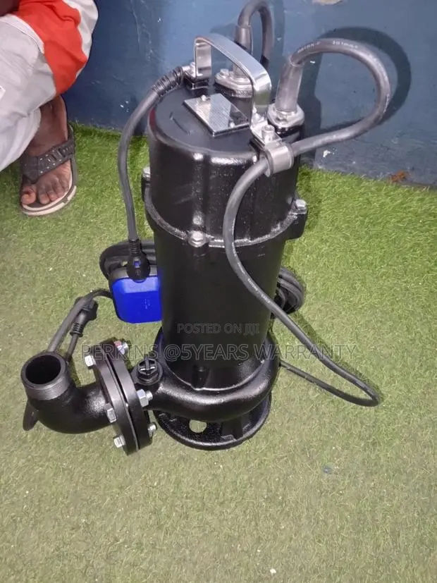 Leo Submersible Water Pump Sewage Pumps 1.5hp · Photo 1