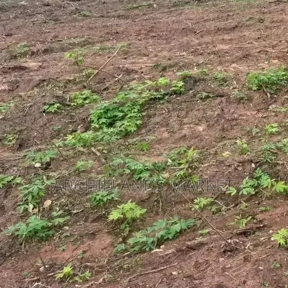 Own Land in a Fast-Growing Location · Photo 1