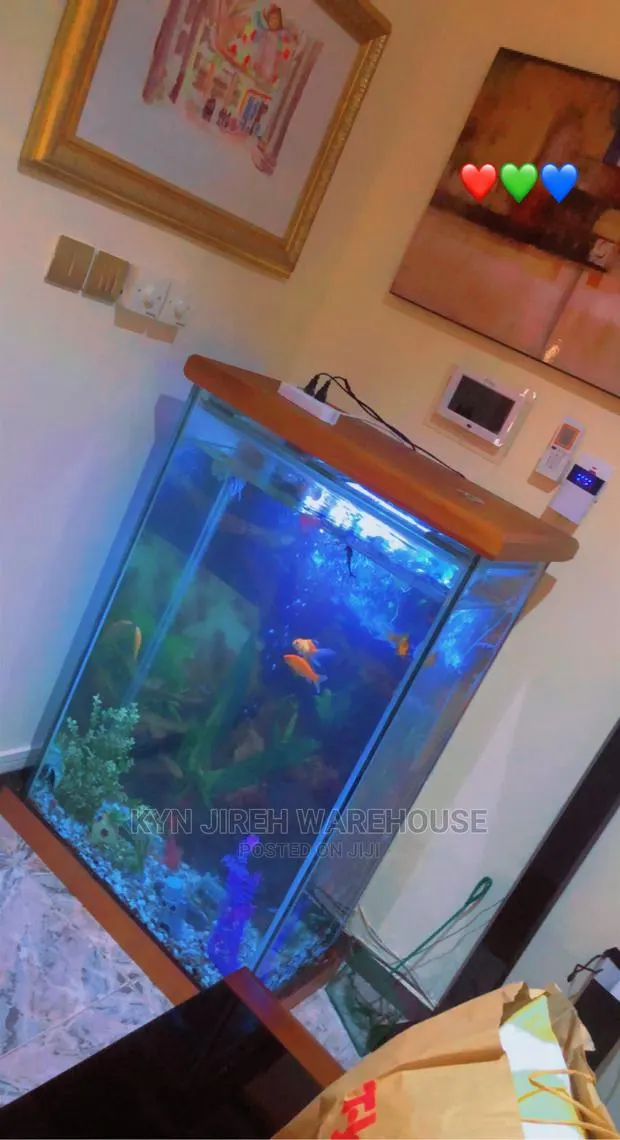 Mr. Scott Aquarium With Fishes · Photo 1