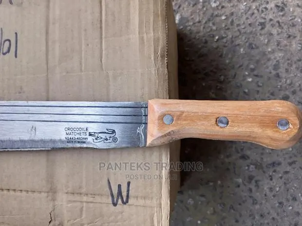 Crocodile Cutlass · Photo 1