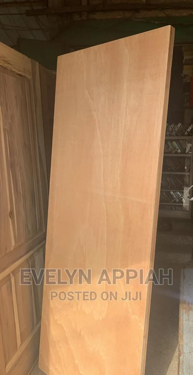 Flush Door · Photo 1