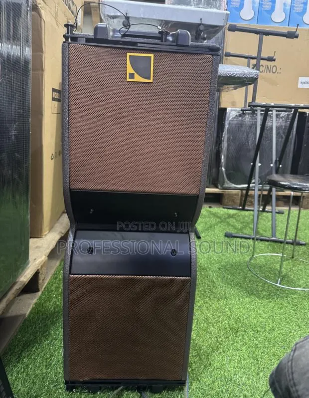 10 Inches Kara Professional Line Array Speaker · Photo 1