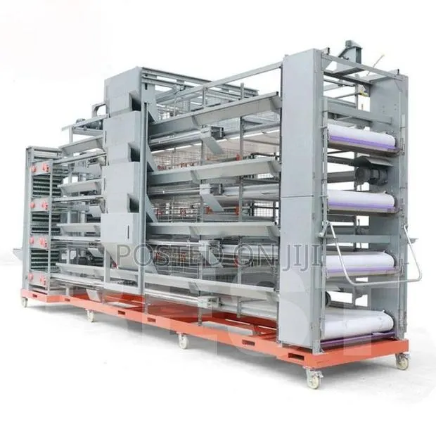 H Type Chicken Cage System · Photo 1