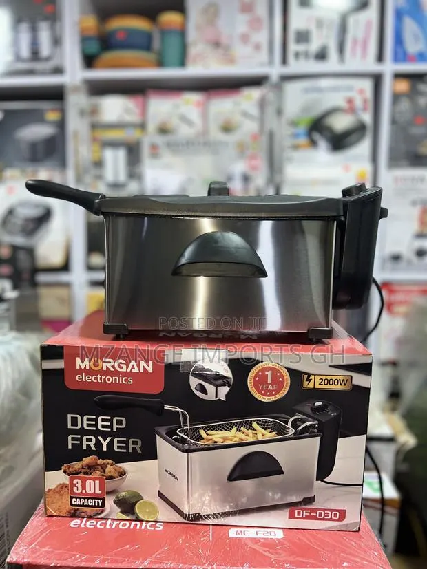 Morgan 3L Modern Deep Fryer With Lid Cover for Home · Photo 1