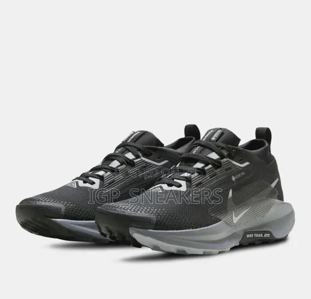 Nike Pegasus Trail 5 GORE-TEX · Photo 1