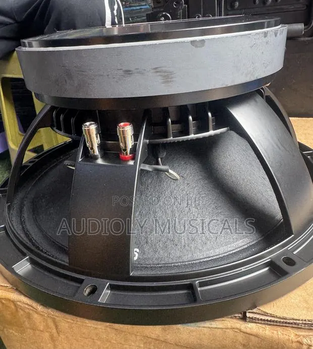 Jac Naked 12 Inches Single Magnet Mid Speaker · Photo 1