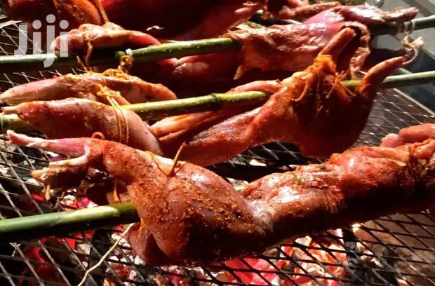 Dressed, Grilled and Seasoned Rabbit Meat · Photo 1