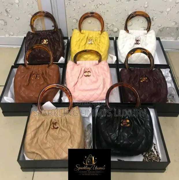 Premium Quality the Chanel Tortoise Handle Bucket Bag · Photo 1