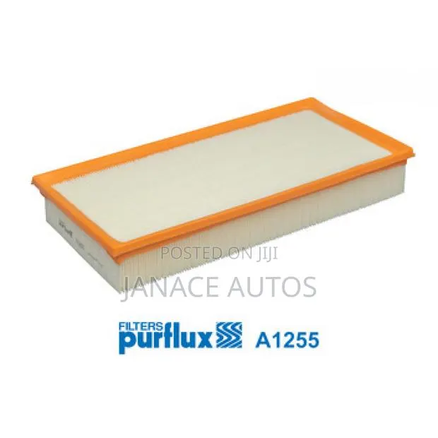 Audi Q7 Range Rover Cayenne Touareg Air Filter Purflux A1255 · Photo 1