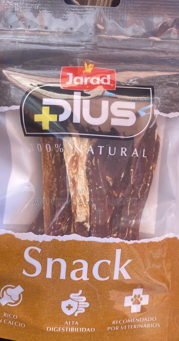 Cats and Dogs Snack or Treat