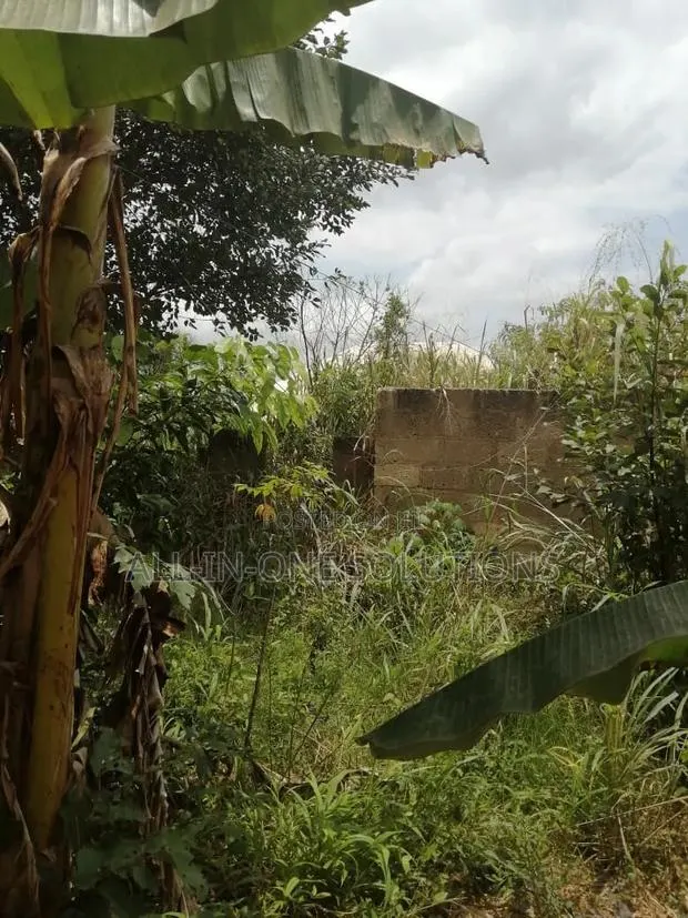 A Plot of Land · Photo 1