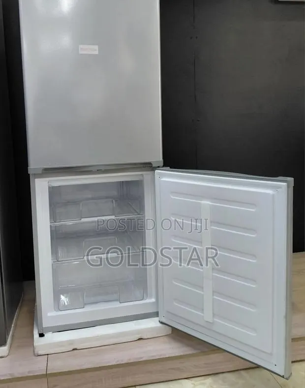 303L Saya Fridge · Photo 1