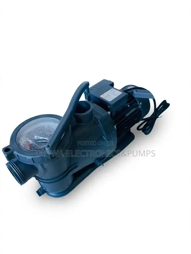 Domestic Pool Leo 2hp Swimming Pool Pump · Photo 1