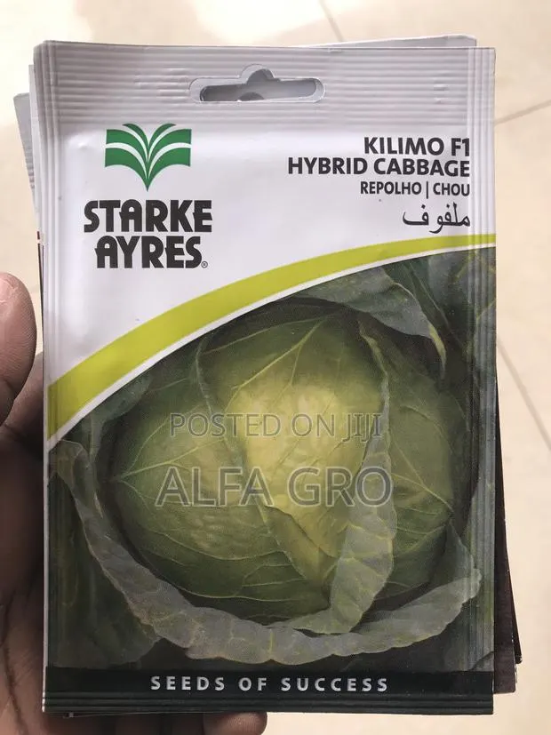 Vegetable Seeds Collection · Photo 4