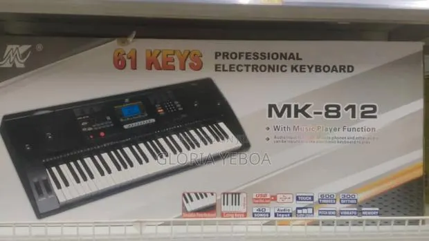 Electronic Organ With Microphone · Photo 1