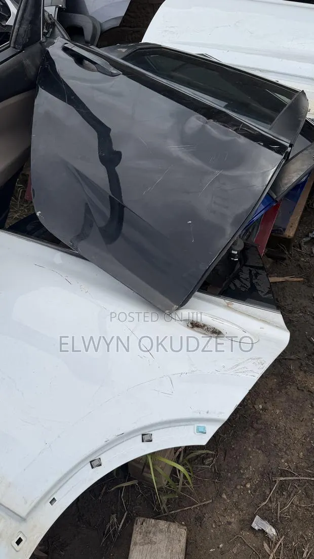 2019-2024 Hyundai Santafe Doors · Photo 1