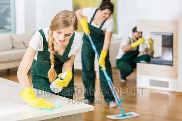 Home 2 Home Cleaners · Photo 1