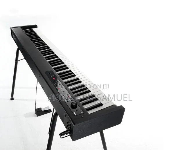 Korg D1 Professional Keyboard · Photo 1