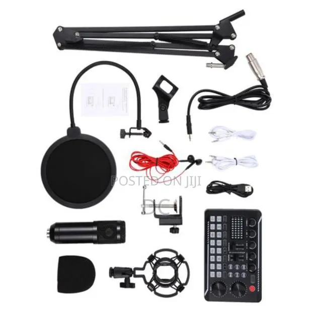Professional Condenser Microphone Recording Setup · Photo 1