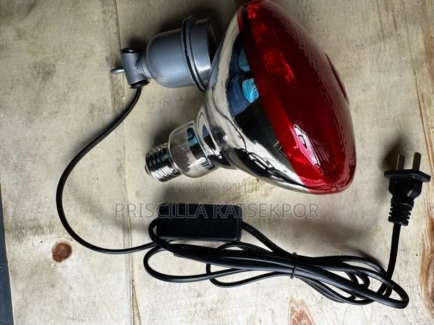 Brooding Bulb and Holder · Photo 1