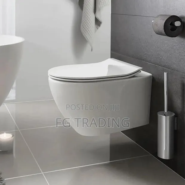 Concealed Wall Mounted Water Closet - Hanging WC