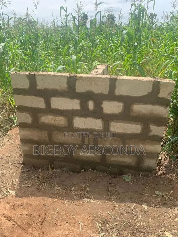 3 Plots of Land 4 Sale · Photo 1