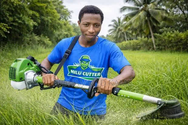 Professional Grass Cutting Lawn Care Services · Photo 1