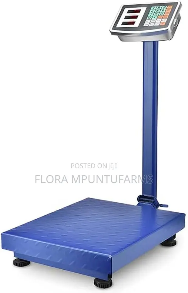 300kg Industrial Platform Scale · Photo 1