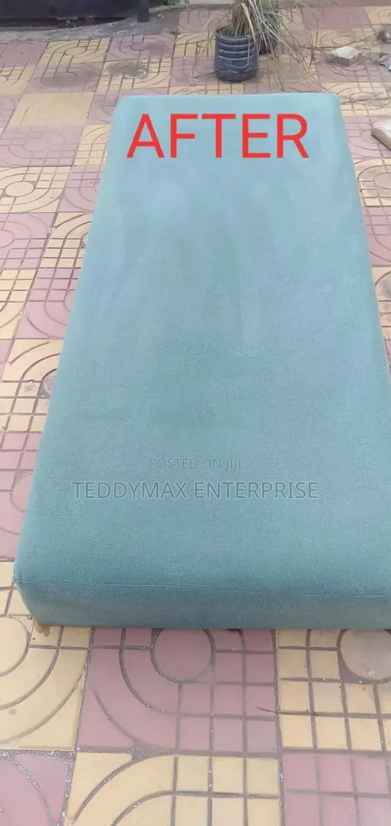 Sofa, Bed and Carpet Cleaning · Photo 1