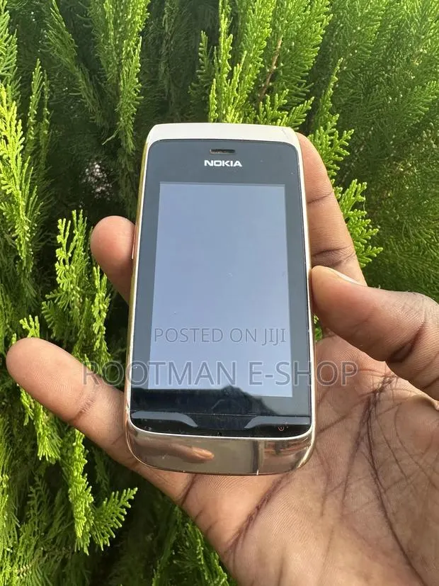 Nokia Asha 310 Gold · Photo 1