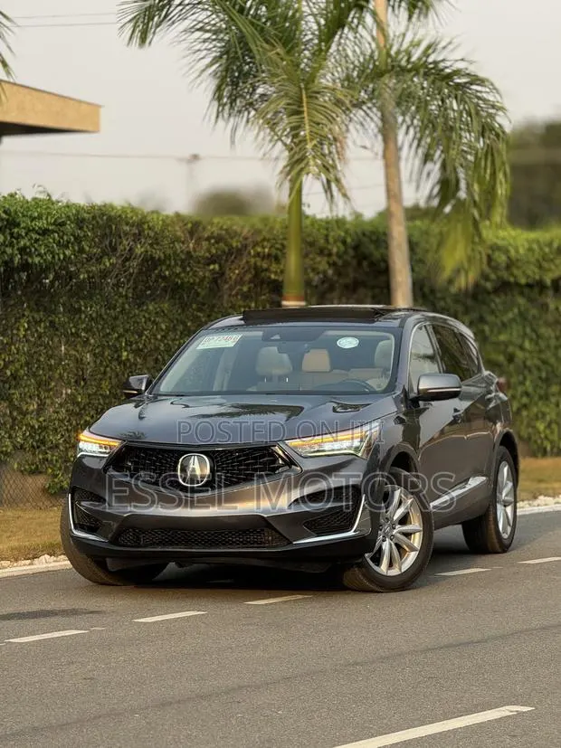 Acura MDX Tech Pkg SH-AWD 2019 Gray · Photo 1