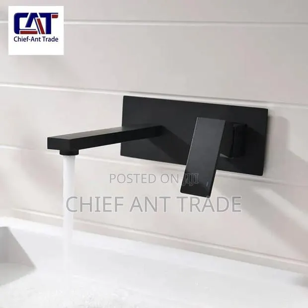 Concealed Faucet Taps 2203 Black · Photo 1