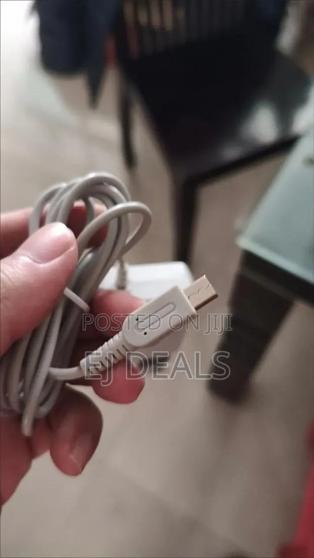 Nintendo 3ds Charger From Uk · Photo 1