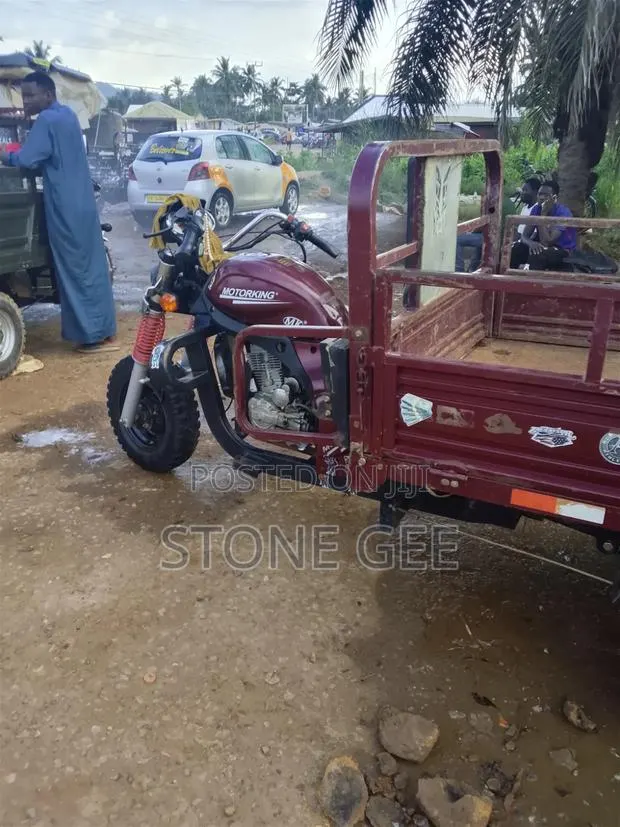 Tricycle 2025 Red · Photo 1