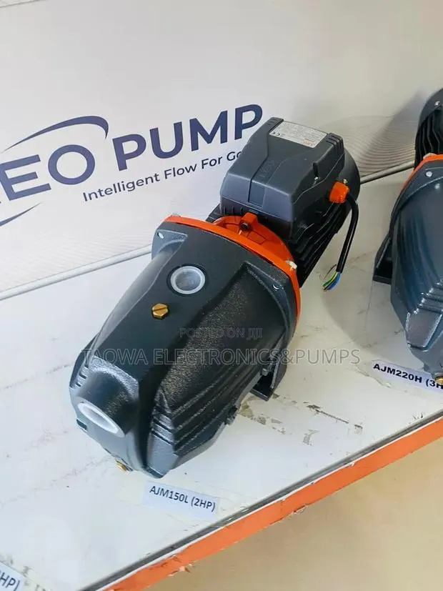 Solid Leo 2hp Ajm150l Water Pump · Photo 1