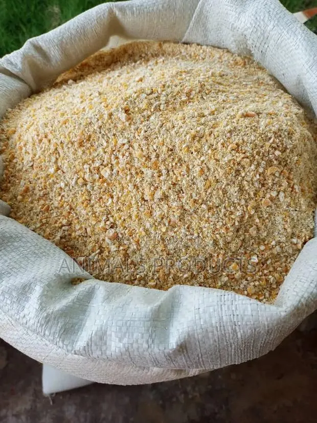 Yellow Maize Crashed for Feed or Food · Photo 1