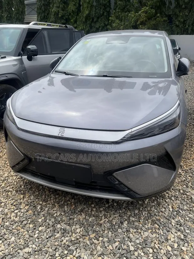 New BYD Yuan Plus 2025 Gray · Photo 1
