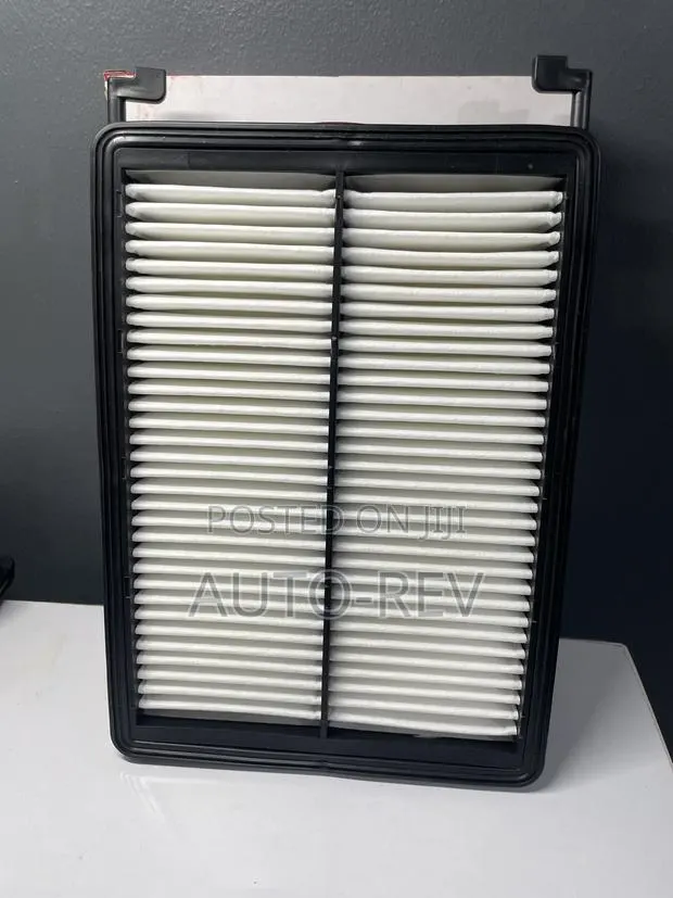 Hyundai Santa Fe/Palisade Air Filter || 28113-A9100 · Photo 1