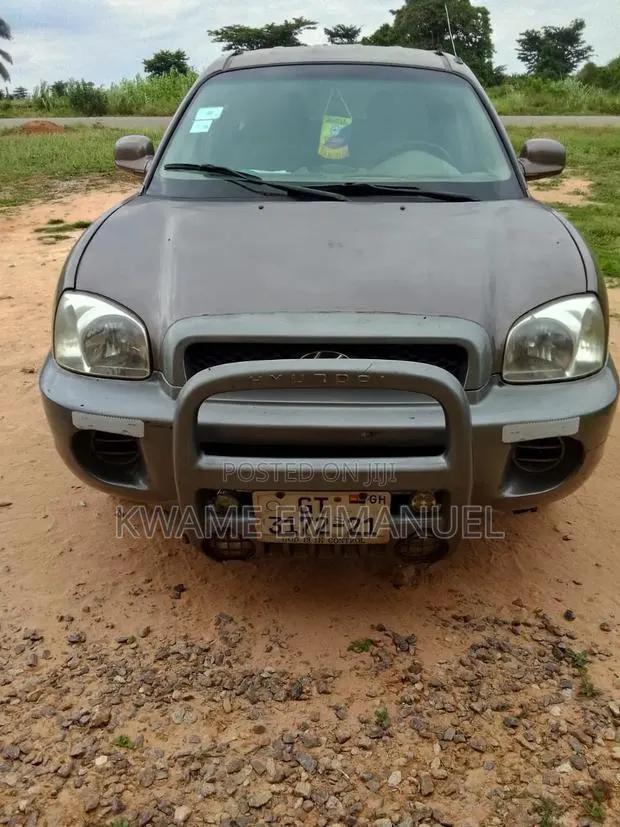Hyundai Santa Fe 2005 Brown · Photo 1