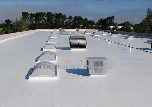 Heat Reflective Waterproof Coating (Concrete Metal Roof) · Photo 1
