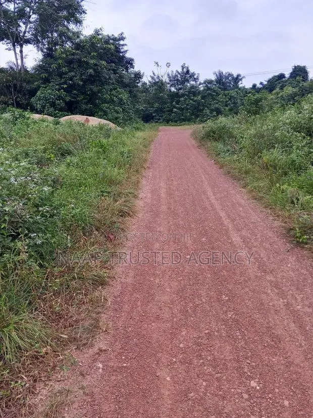 Farmland for Sale / Lease · Photo 1