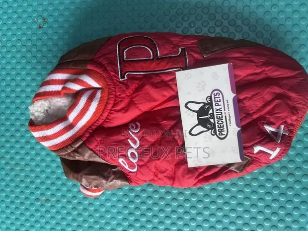Toy Dog Clothing- New Stock -2025-0 479964 · Photo 1