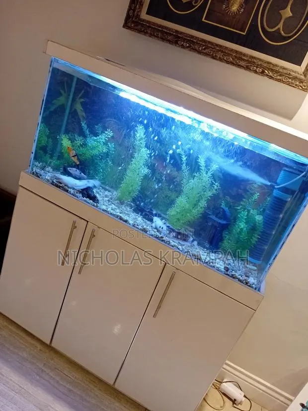 Aquarium Tank