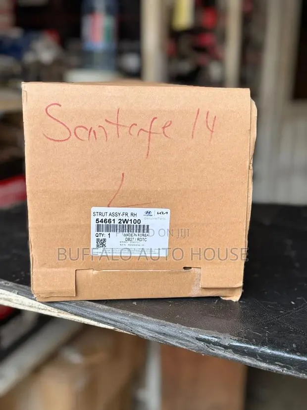 Hyundai Santa Fe Front Shock Absorber 2016 · Photo 1