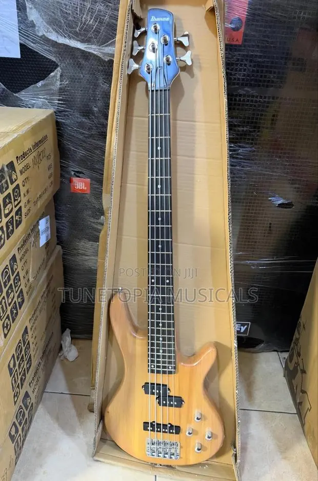 Ibanez 5-String Electric Bass Guitar (Passive) · Photo 1