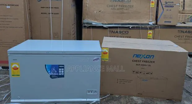 Nexon Freezer 400l · Photo 1
